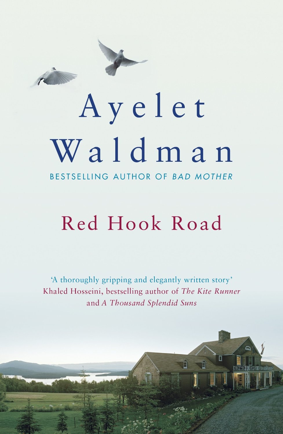 red-hook-road-ayelet-waldman
