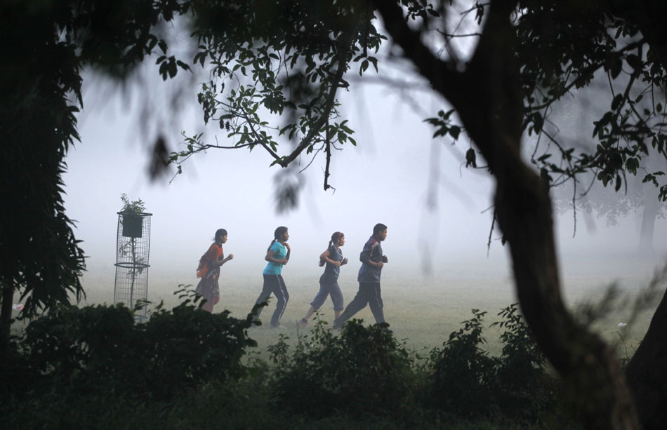 People Jogging in the Park