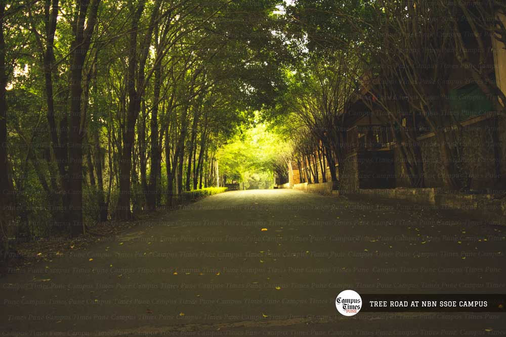 tree-road-nbn-ssoe-campus-images