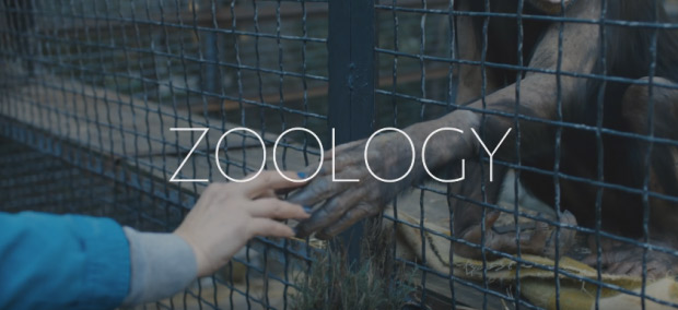 Zoology-PIFF-2017