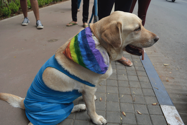 dog_pride_walk_pune_campus_times_lgbtq