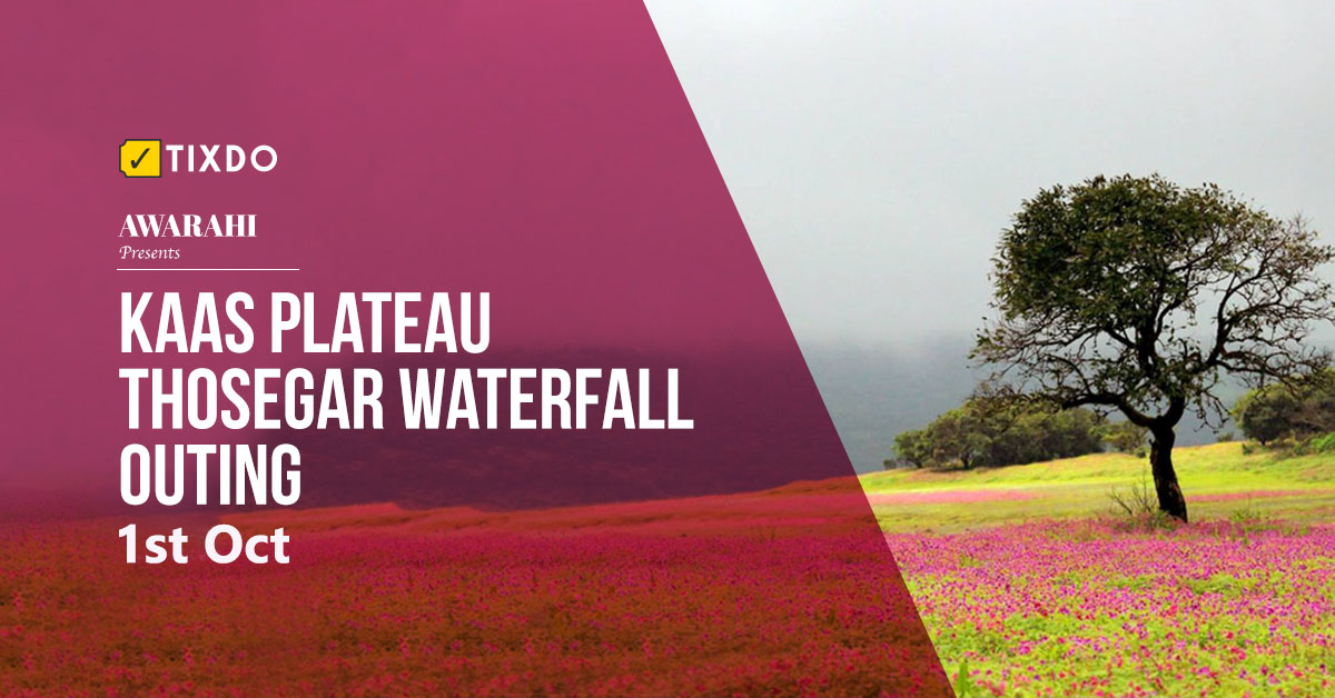 kaas2 Kaas-Plateau