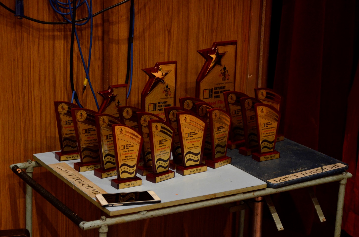 Awards_at_SFFP