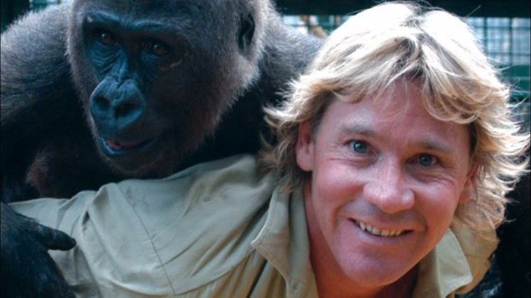 Steve-irwin-2