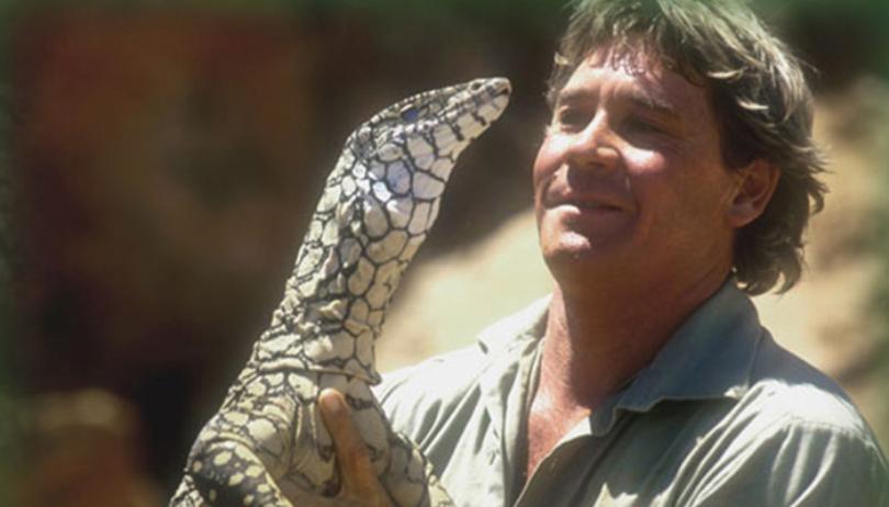 Steve-irwin