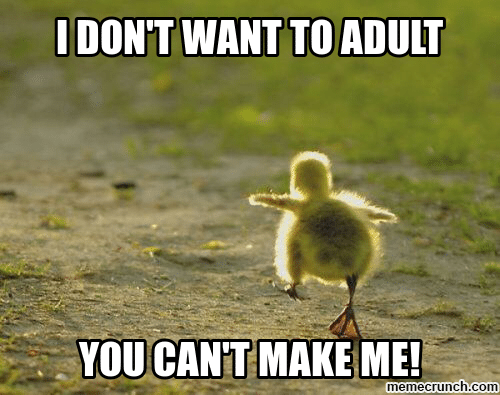 you_cant_make-me_adult