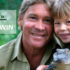 A-Tribute-To-Steve-Irwin